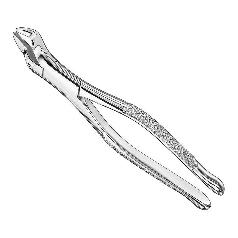 Extracting Forceps, American Pattern, Sz.10S
