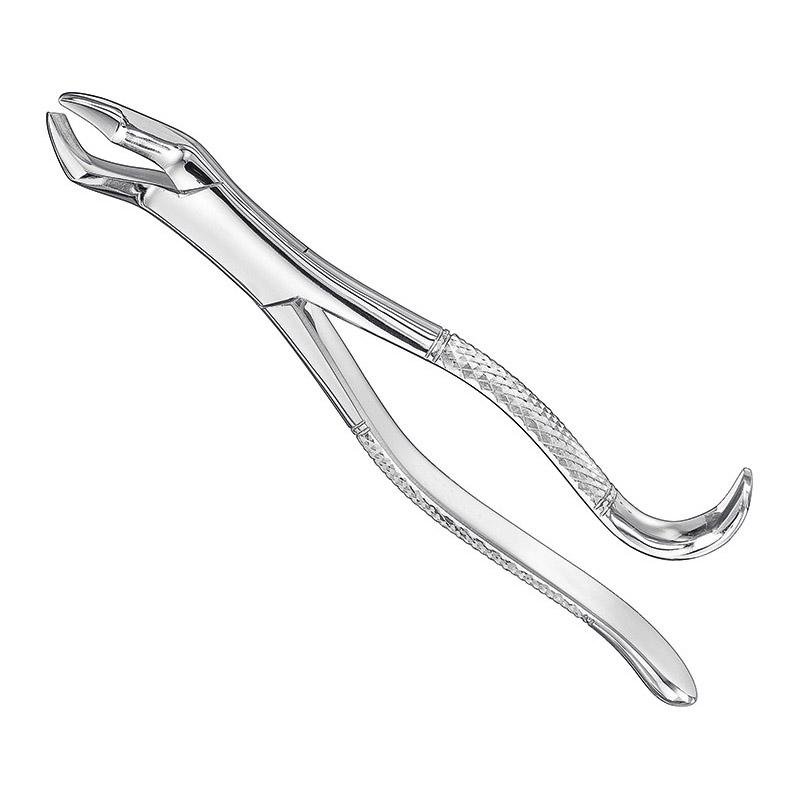 Extracting Forceps, American Pattern, Sz.10H