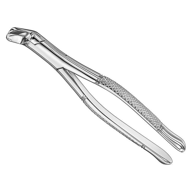 Extracting Forceps American Pattern — Size 6 — Size 6