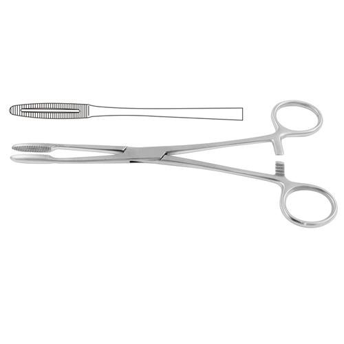 Gross-Maier Dressing Forceps Straight - With Ratchet 22 Cm - 8 3/4