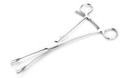 Sks-Vet-0352 — Size 215MM