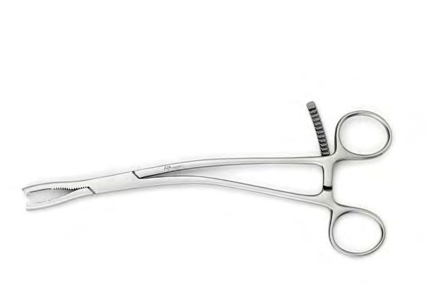 Sks-Vet-0365 — Size 215MM