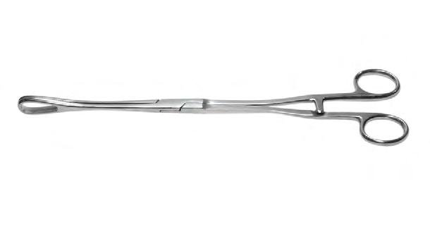 Miscellaneous Obstetrical Items