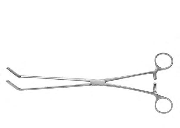Sks-Vet-0819 — Size 200MM