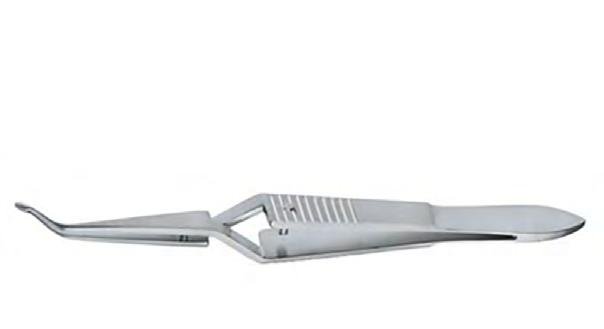 Sks-Vet-0873 — Size 105MM