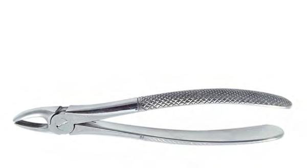 Sks-Vet-0948 — Size 170MM
